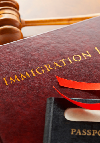 Immigration Law